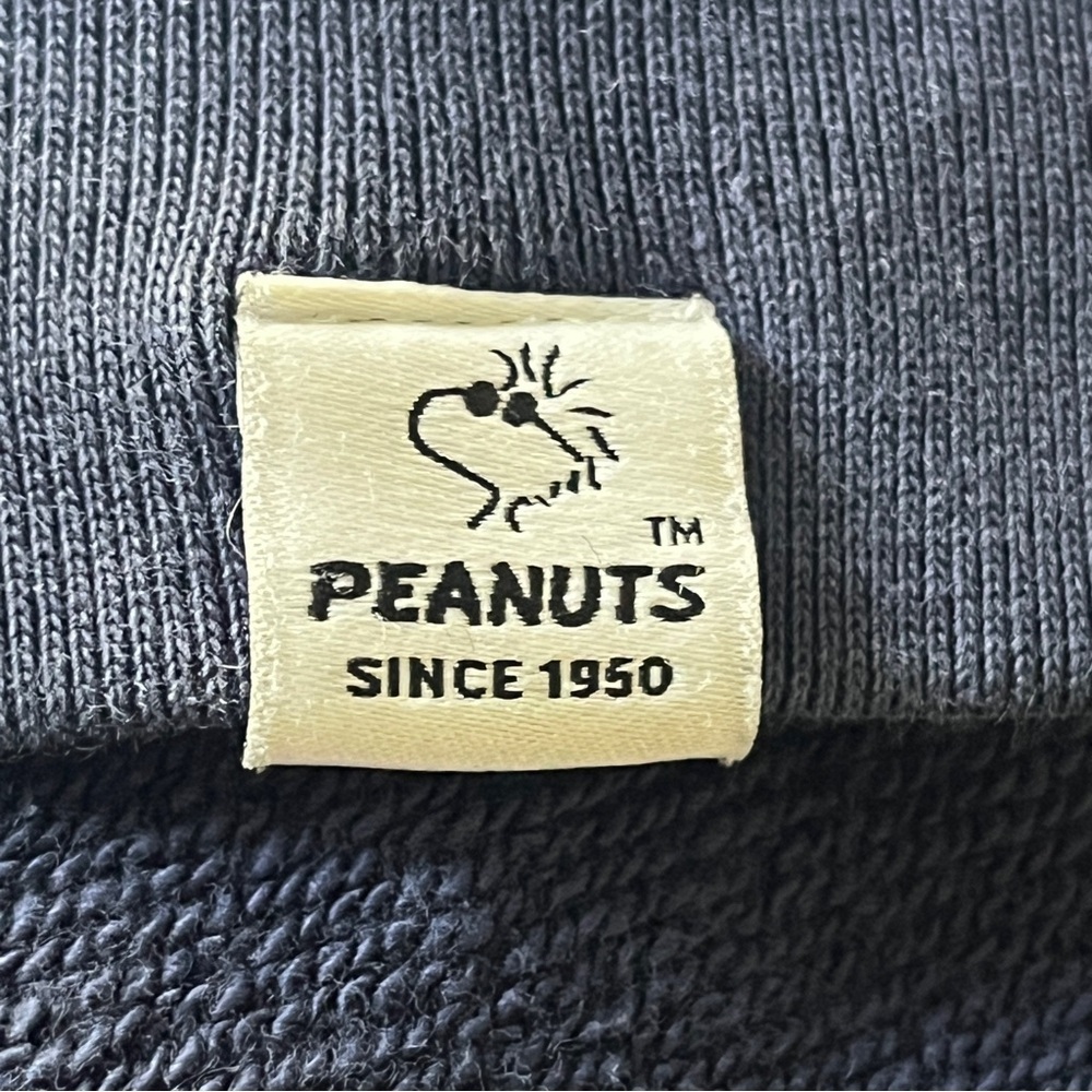 Peanuts x Uniqlo Snoopy and Charlie Brown Pullover Hoodie - Size Large - Picture 6 of 15